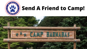 Send Your Friend to Camp